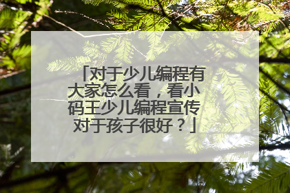 对于少儿编程有大家怎么看,看小码王少儿编程宣传对于孩子很好?