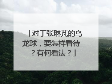 对于张琳芃的乌龙球,要怎样看待?有何看法?