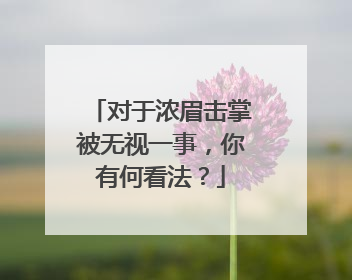 对于浓眉击掌被无视一事，你有何看法？