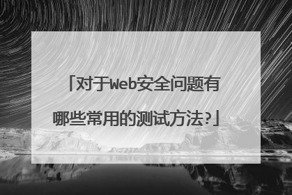 对于Web安全问题有哪些常用的测试方法?