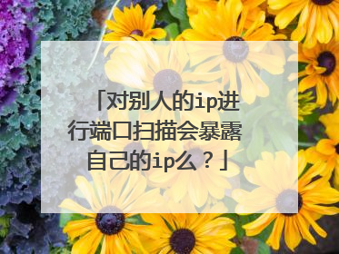 对别人的ip进行端口扫描会暴露自己的ip么？