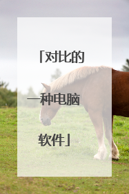 对比的一种电脑软件