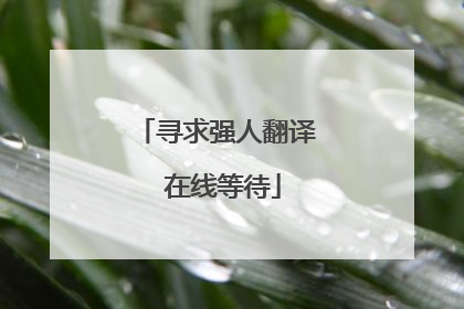 寻求强人翻译 在线等待