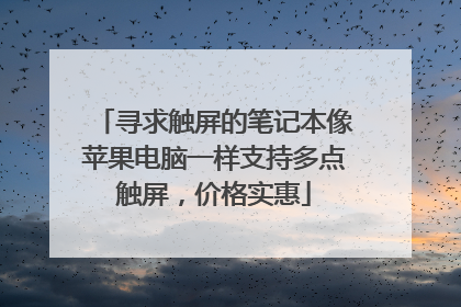 寻求触屏的笔记本像苹果电脑一样支持多点触屏,价格实惠