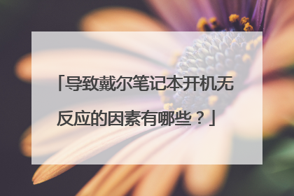 导致戴尔笔记本开机无反应的因素有哪些？