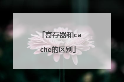 寄存器和cache的区别