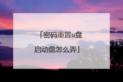 密码重置u盘启动盘怎么弄