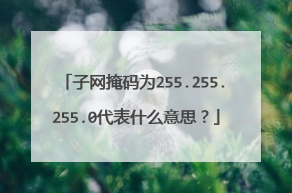 子网掩码为255.255.255.0代表什么意思？
