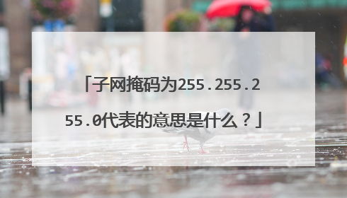 子网掩码为255.255.255.0代表的意思是什么？