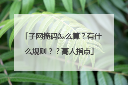 子网掩码怎么算?有什么规则??高人指点