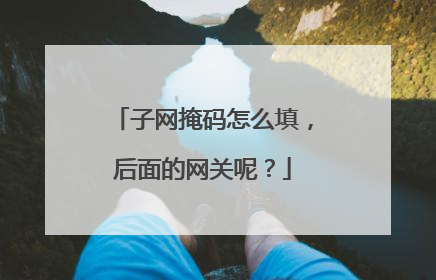 子网掩码怎么填，后面的网关呢？