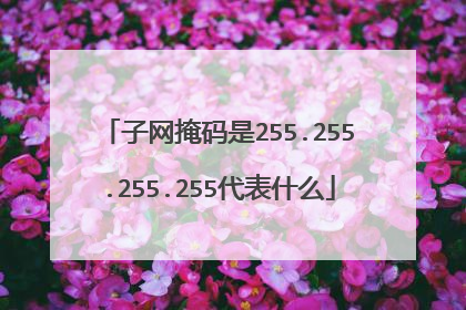 子网掩码是255.255.255.255代表什么