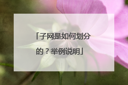 子网是如何划分的？举例说明