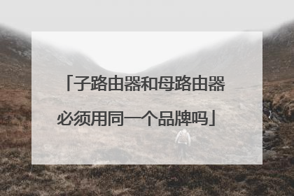 子路由器和母路由器必须用同一个品牌吗
