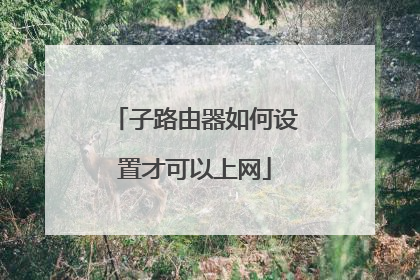 子路由器如何设置才可以上网