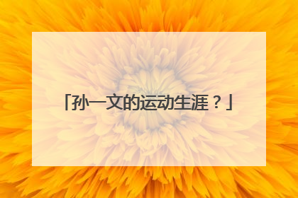 孙一文的运动生涯？