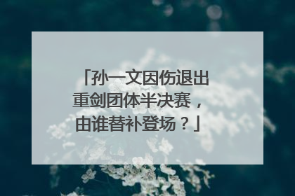 孙一文因伤退出重剑团体半决赛，由谁替补登场？
