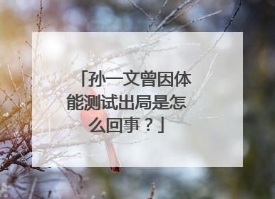 孙一文曾因体能测试出局是怎么回事？