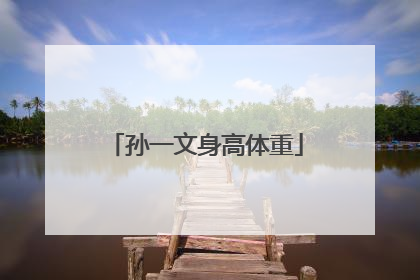 孙一文身高体重