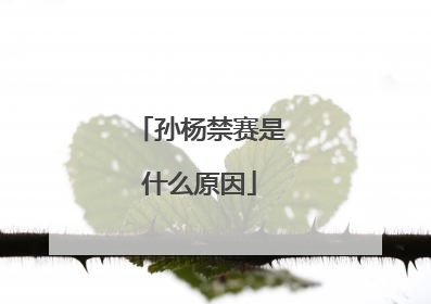 孙杨禁赛是什么原因