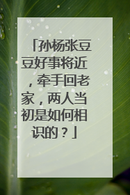 孙杨张豆豆好事将近，牵手回老家，两人当初是如何相识的？