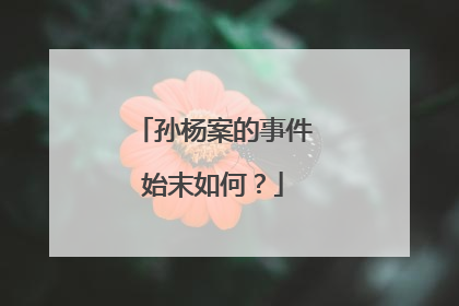 孙杨案的事件始末如何？