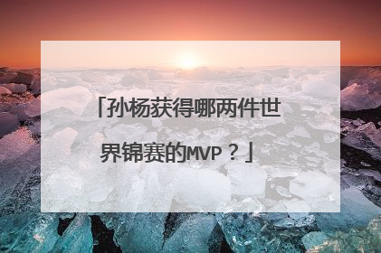 孙杨获得哪两件世界锦赛的MVP？