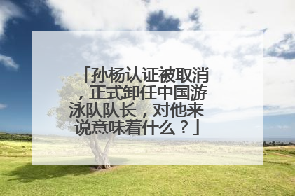 孙杨认证被取消，正式卸任中国游泳队队长，对他来说意味着什么？