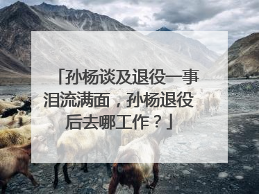 孙杨谈及退役一事泪流满面，孙杨退役后去哪工作？