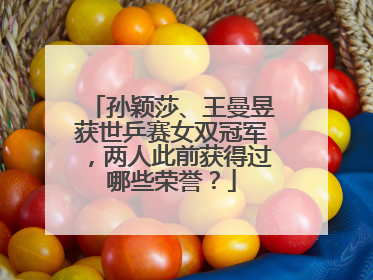 孙颖莎、王曼昱获世乒赛女双冠军，两人此前获得过哪些荣誉？