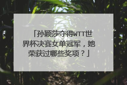 孙颖莎夺得WTT世界杯决赛女单冠军,她荣获过哪些奖项?