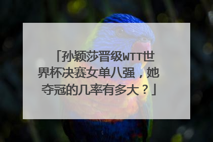 孙颖莎晋级WTT世界杯决赛女单八强，她夺冠的几率有多大？