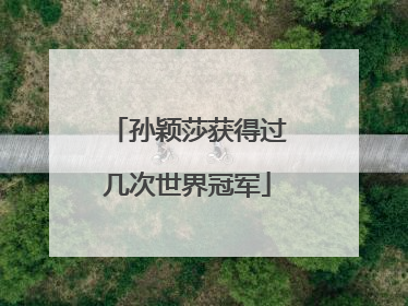孙颖莎获得过几次世界冠军