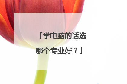 学电脑的话选哪个专业好？