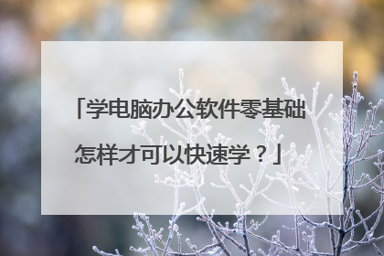 学电脑办公软件零基础怎样才可以快速学？