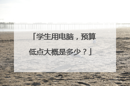 学生用电脑，预算低点大概是多少？