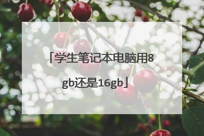 学生笔记本电脑用8gb还是16gb