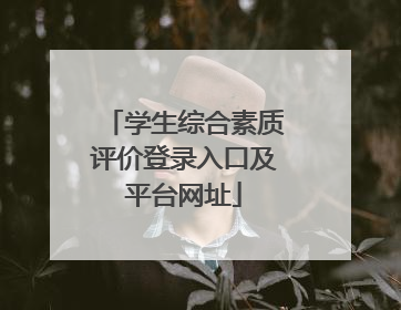 学生综合素质评价登录入口及平台网址