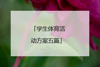 学生体育活动方案五篇
