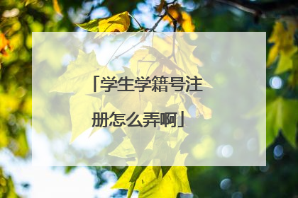 学生学籍号注册怎么弄啊