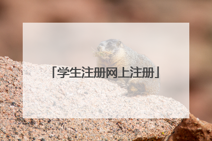 学生注册网上注册