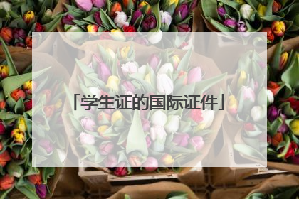 学生证的国际证件