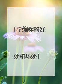 学编程的好处和坏处