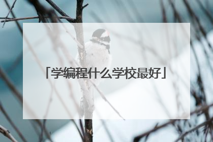 学编程什么学校最好
