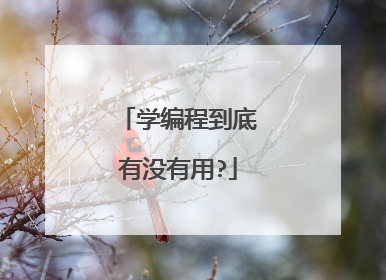 学编程到底有没有用?
