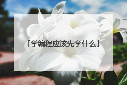 学编程应该先学什么