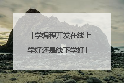 学编程开发在线上学好还是线下学好