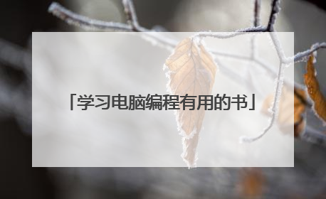 学习电脑编程有用的书