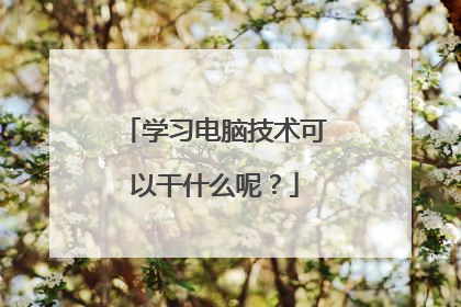 学习电脑技术可以干什么呢?