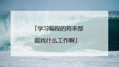 学习编程的将来都能找什么工作啊